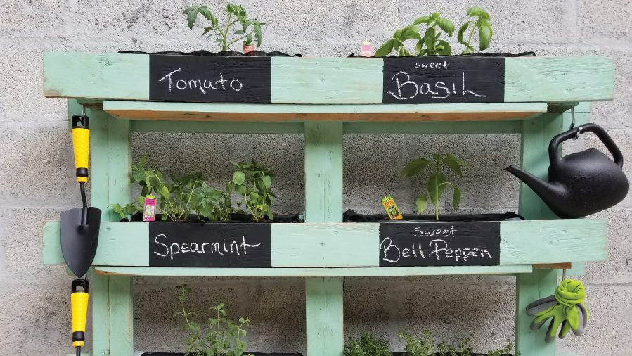 Easy DIY Herb Garden