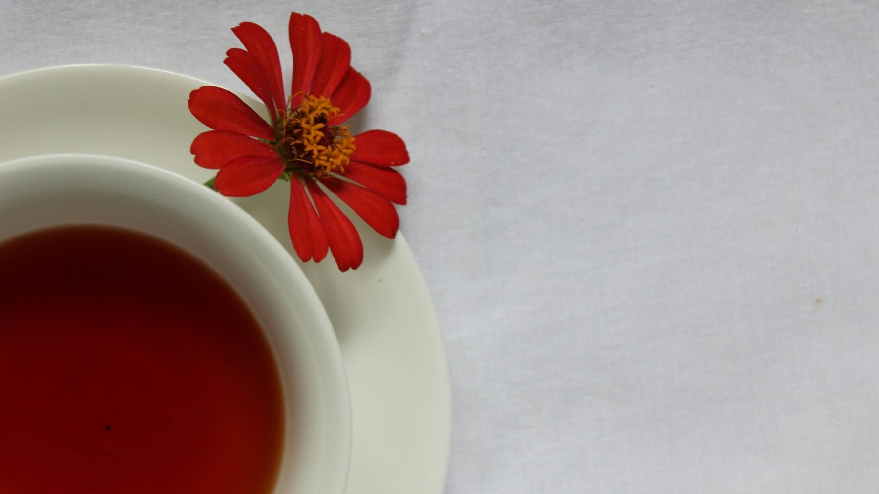 Cup of tea on a saucer with a red flower on a white background