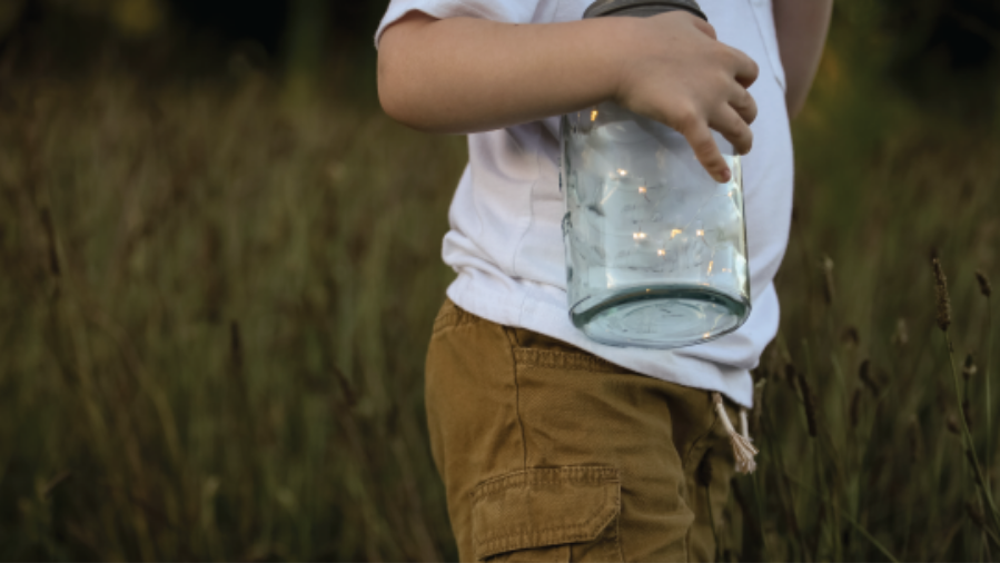 5 Fun Activities for the Summer