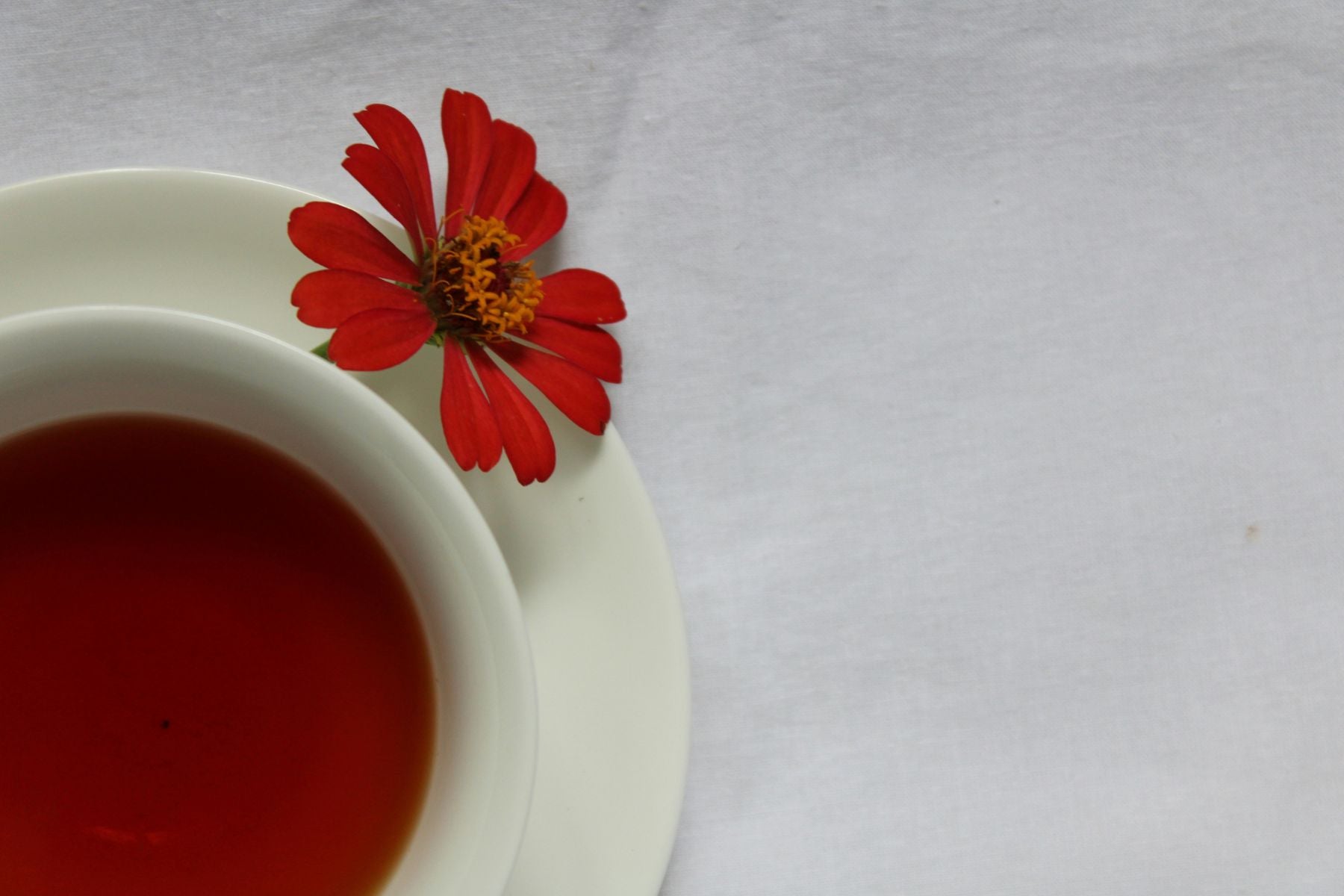 Cup of tea on a saucer with a red flower on a white background